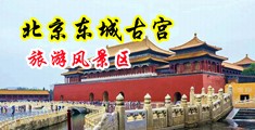 骚屄被肏黄色网站中国北京-东城古宫旅游风景区